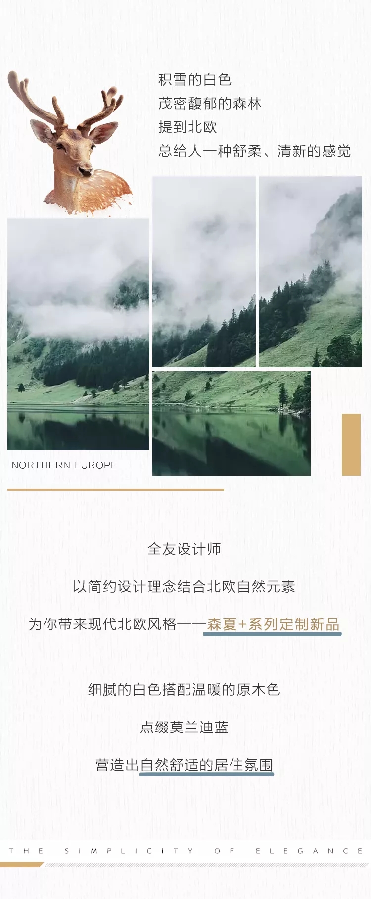 1.webp.jpg